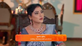 Karthigai Deepam S01 E801 30th April 2025