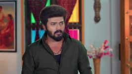 Karthigai Deepam S01 E802 30th April 2025