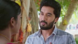 Karthika Deepam S02 E324 Kasi, Swapna in Doubt