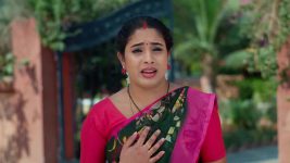 Maa Annaya (Zee Telugu) S01 E343 7th April 2025