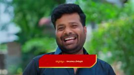 Maamagaru (Star Maa) S01 E495 Ganga Annoys Gangadhar
