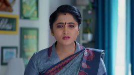 Meghasandesam (Zee Telugu) S01 E274 1st April 2025