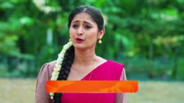 Naa Ninna Bidalaare (Zee Kannada) S01 E67 29th April 2025