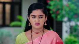 Paape Maa Jeevana Jyothi S01 E1236 Kutti Confronts Indumathi