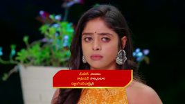Paape Maa Jeevana Jyothi S01 E1239 Padma Condemns Indumathi