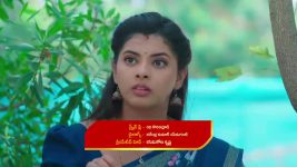 Paluke Bangaramayana S01 E519 A Shocker for Bobby