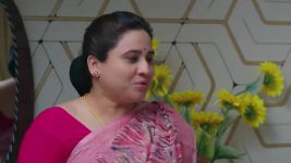 Paluke Bangaramayana S01 E524 Krishna Conspires Against Sunny