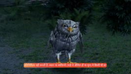 Parul (Zee tv) S01 E44 30th April 2025