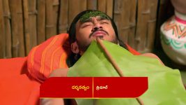 Renuka Yellamma (Star Maa) S01 E604 Sathyavathi Comforts Jamadagni