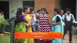 Sandhya Raagam (Tamil) S01 E492 1st April 2025