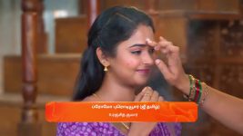 Sandhya Raagam (Tamil) S01 E502 15th April 2025