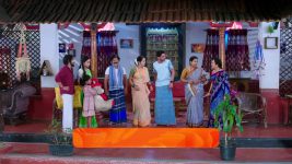 Shravani Subramanya S01 E274 3rd April 2025