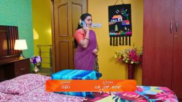 Shravani Subramanya S01 E283 16th April 2025