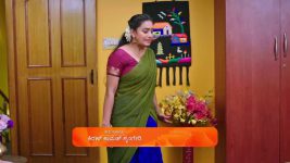 Shravani Subramanya S01 E290 24th April 2025