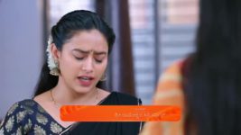 Shravani Subramanya S01 E294 30th April 2025