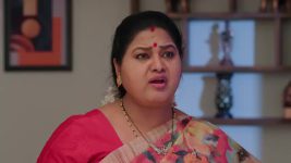 Vantalakka S01 E892 Krishna Grows Suspicious
