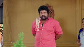 Bhanumathi (Star Maa) S01 E33 Pramila's Disappointment over Bhanumathi