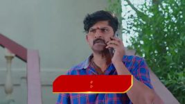 Chinni (Star Maa) S01 E240 Deva, Nagavalli's Conspiracy