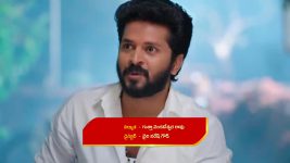 Gunde Ninda Gudi Gantalu S01 E393 Balu's Romantic Gesture for Meena
