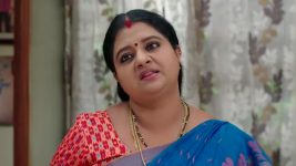 Gunde Ninda Gudi Gantalu S01 E411 Meena, Balu's Me Time