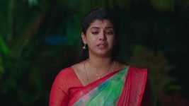 Paluke Bangaramayana S01 E503 Nalani's Concern for Roshini