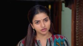 Anna (Tamil) S01 E672 12th May 2025