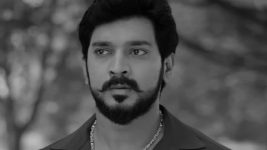 Annapoorna S01 E873 26th May 2025