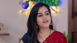 Annapoorna S01 E876 29th May 2025