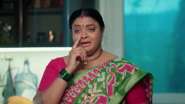 Chamanthi (Zee Telugu) S01 E123 17th May 2025