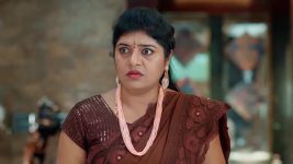 Chamanthi (Zee Telugu) S01 E124 19th May 2025