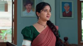 Chamanthi (Zee Telugu) S01 E132 29th May 2025