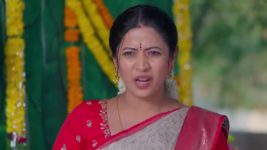 Chinni (Star Maa) S01 E270 Nagavalli, Deva Are Successful