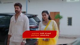 Chinni (Star Maa) S01 E272 Deva Leaves Balaraju Unsettled