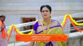 Gattimelam S01 E79 8th May 2025