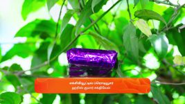 Gattimelam S01 E94 29th May 2025