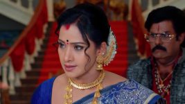 Gharana Mogudu (Zee Telugu) S01 E12 24th May 2025