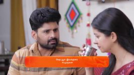 Idhayam S01 E697 29th May 2025