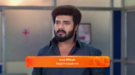 Karthigai Deepam S01 E804 2nd May 2025