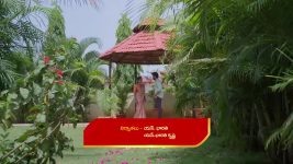 Karthika Deepam S02 E368 Anasuya in a Tight Spot