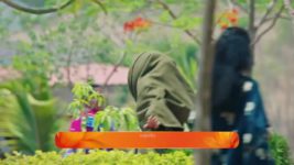 Lakhat Ek Amcha Dada S01 E283 2nd May 2025