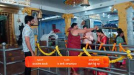 Maa Annaya (Zee Telugu) S01 E364 1st May 2025