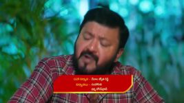 Maamagaru (Star Maa) S01 E528 Gangadhar Brings Joy to Ganga