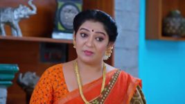 Maguva O Maguva S01 E376 A Concern for Satyavathi