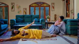 Meghasandesam (Zee Telugu) S01 E303 5th May 2025