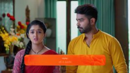 Meghasandesam (Zee Telugu) S01 E307 9th May 2025