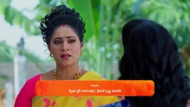 Meghasandesam (Zee Telugu) S01 E308 12th May 2025