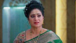 Meghasandesam (Zee Telugu) S01 E311 15th May 2025