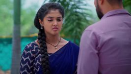 Meghasandesam (Zee Telugu) S01 E313 17th May 2025