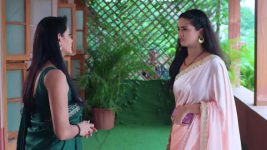 Navri Mile Hitlerla S01 E392 19th May 2025