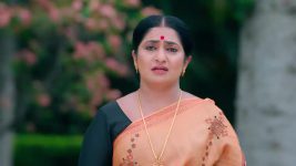 Ninagaagi (Colors Kannada) S01 E293 Jeeva Meets Rana